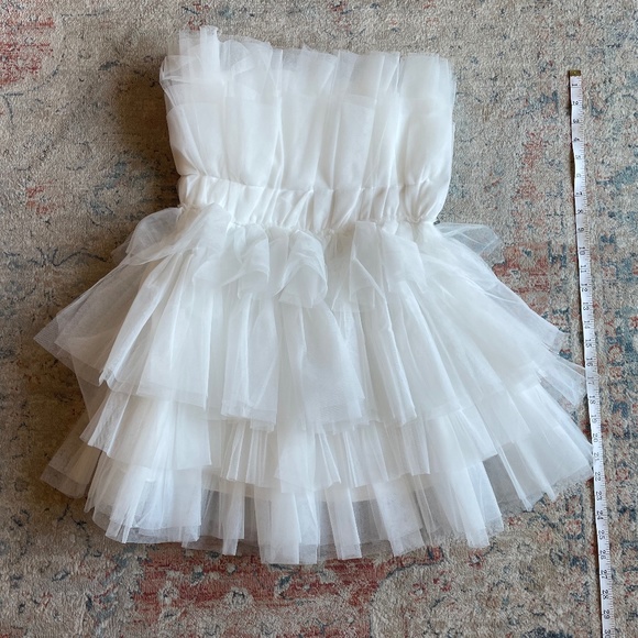 Tulle Mini Party Bachelorette Dress - Picture 5 of 7